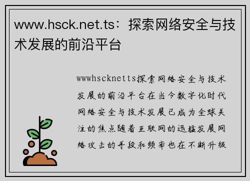 www.hsck.net.ts：探索网络安全与技术发展的前沿平台